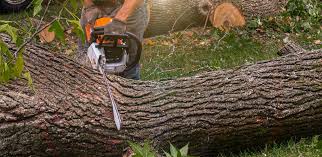 Best Soil Testing and Treatment  in North Caldwell, NJ