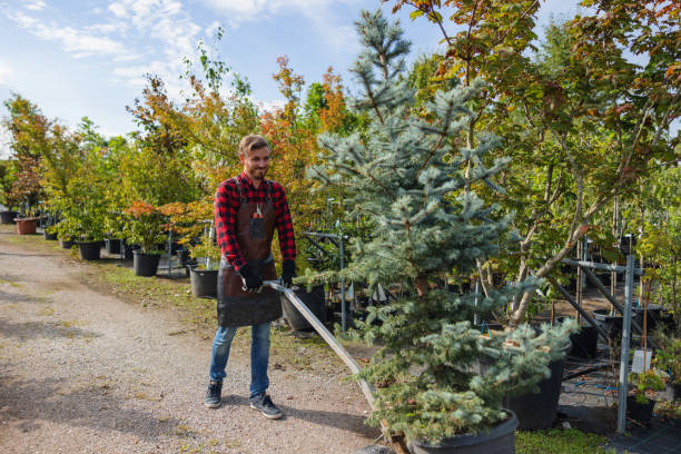 Best Commercial Tree Services  in North Caldwell, NJ