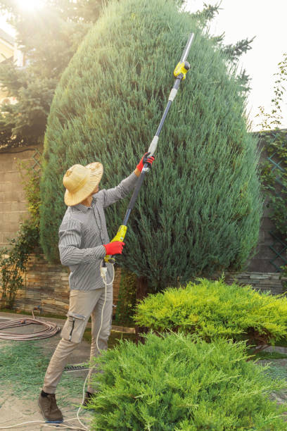 Best Lawn Grading and Leveling  in North Caldwell, NJ